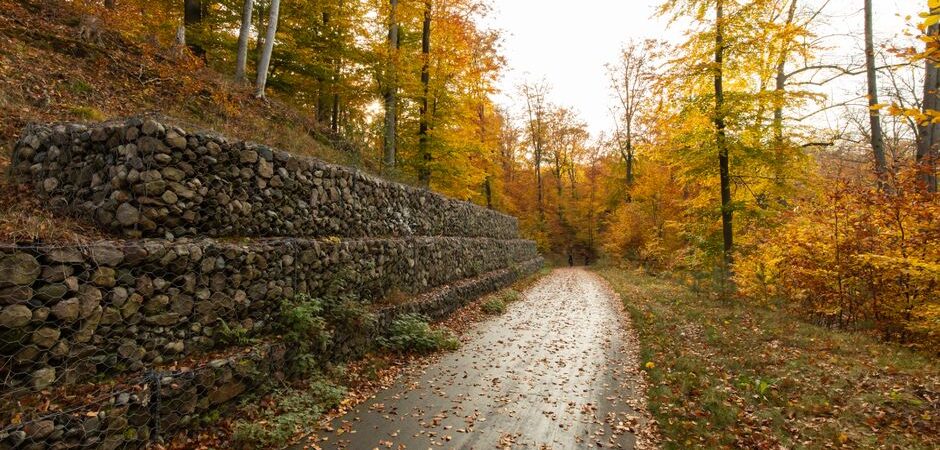 Murs de soutènement au Québec en 2026 : guide complet, coûts et conseils d’experts pour un terrain stable