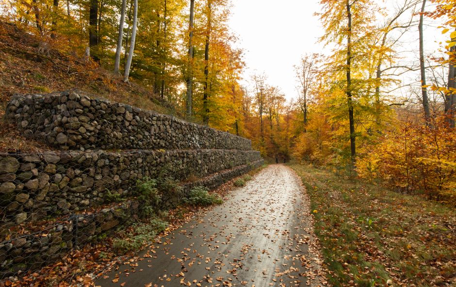Murs de soutènement au Québec en 2026 : guide complet, coûts et conseils d’experts pour un terrain stable