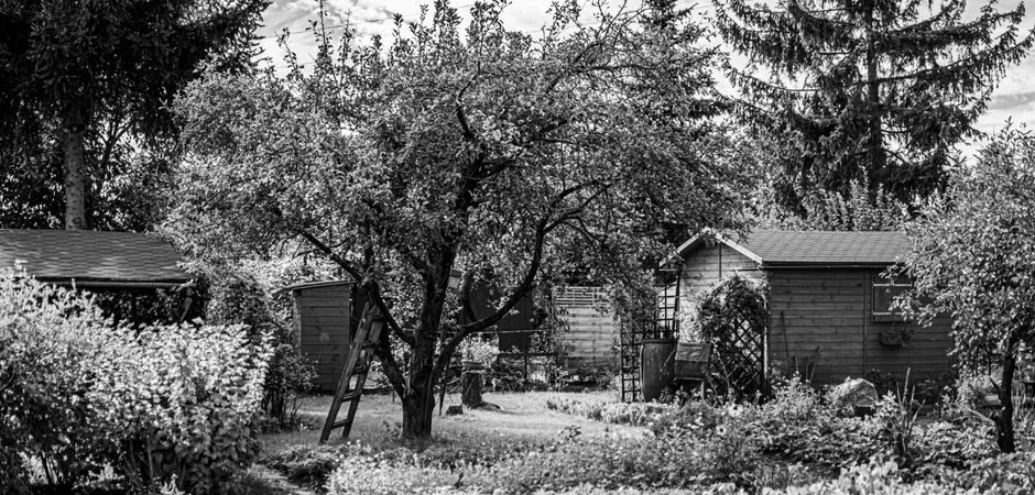 Abri de jardin au Québec en 2026 : guide complet, coûts et conseils d’experts pour bien choisir et installer