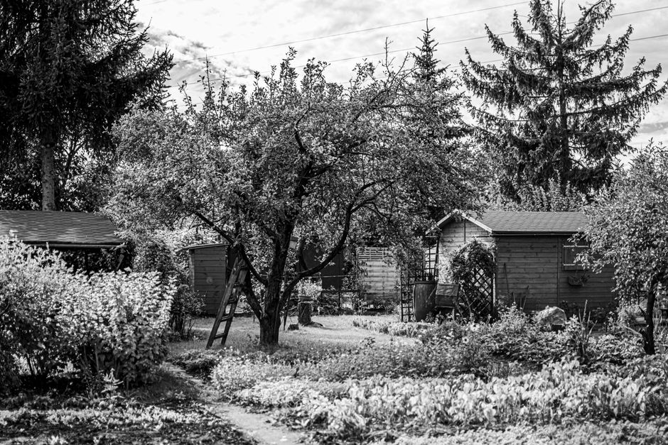 Abri de jardin au Québec en 2026 : guide complet, coûts et conseils d’experts pour bien choisir et installer