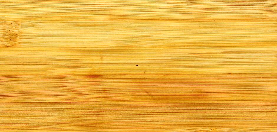 Plancher de bambou au Québec en 2026 : guide complet, coûts et conseils d&rsquo;experts pour un intérieur écoresponsable
